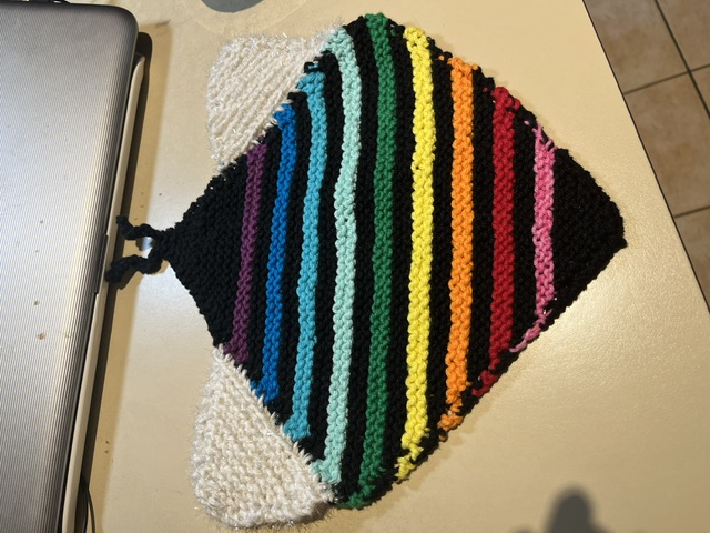 Bee Dishcloth - Pride